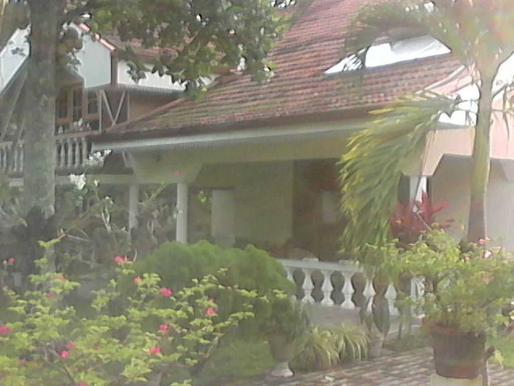 Villa Pala เนกอมโบ ภายนอก รูปภาพ